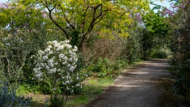 Parc des berges de Bordeaux, chemin avec buissons.